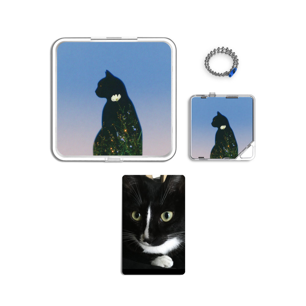 Album component image