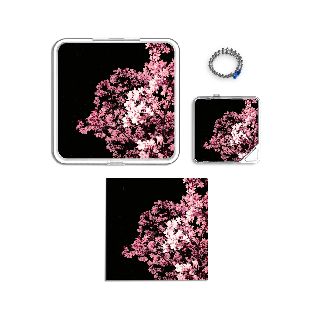Album component image