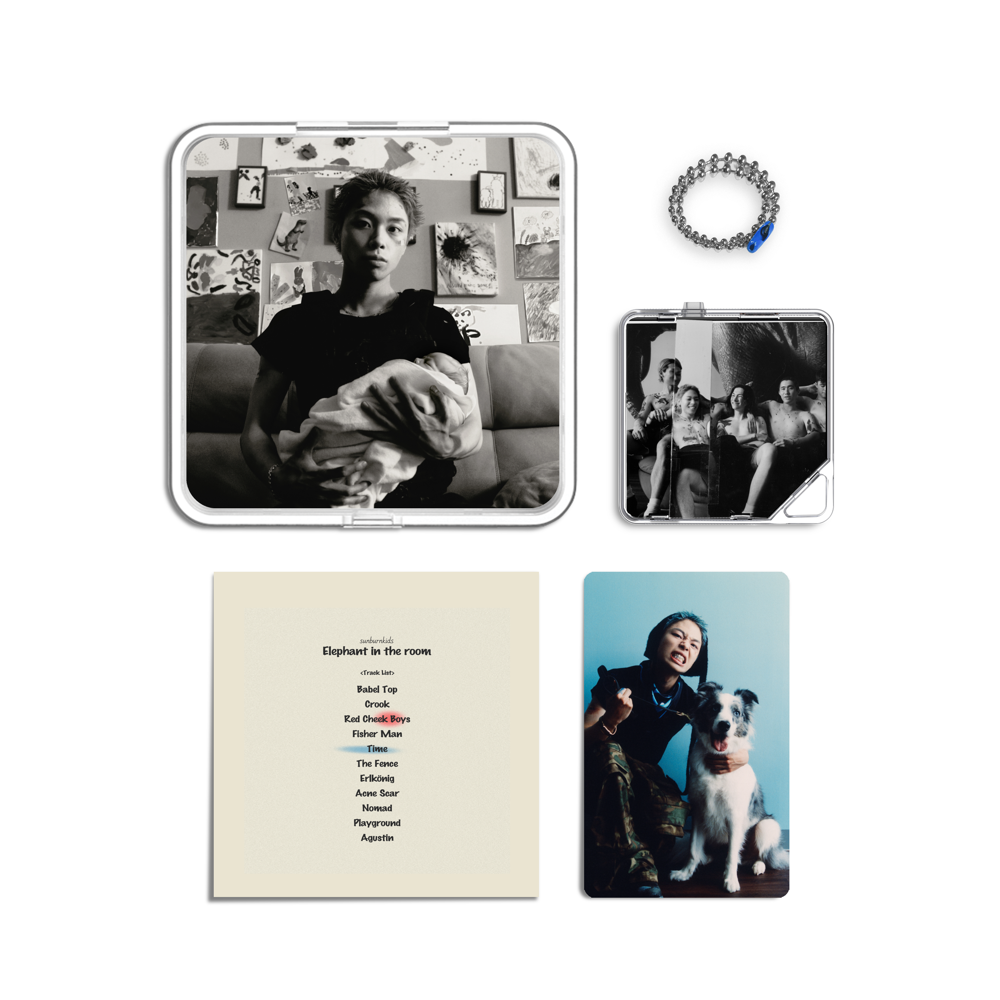 Album component image
